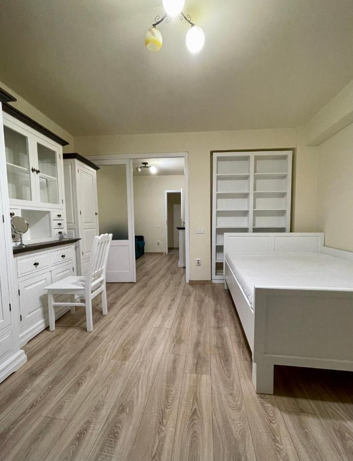 Cozy Central One Bedroom Kluž Exteriér fotografie